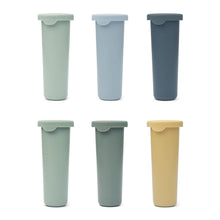 Gianni Ice Moulds