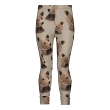 BEAR LEGGINSIT - GREEN