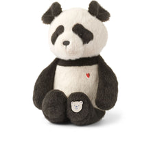 BERTO PANDA TEDDY